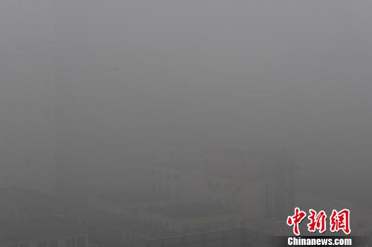 山东烟台现浓雾天气 海陆空交通全面受阻(图)