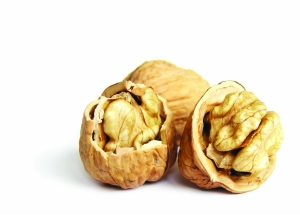 坚果品种排名 e1c79c72696f3856a0a173011e291cff.jpg