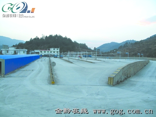 新驾考 知难而退_资讯频道_凤凰网