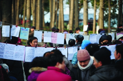 记者在玄武湖公园内的相亲角看到,这片水杉树林里拉满了挂着个人资料