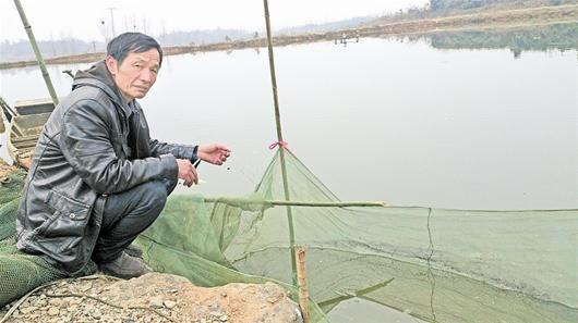 ·图文:标准化养殖 农户喜看鳜鱼肥