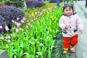 重庆踏青地图:这些地方春花最漂亮 这些地方有