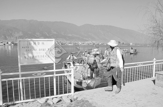 大理成立整治工作组 专项整治鱼鹰表演