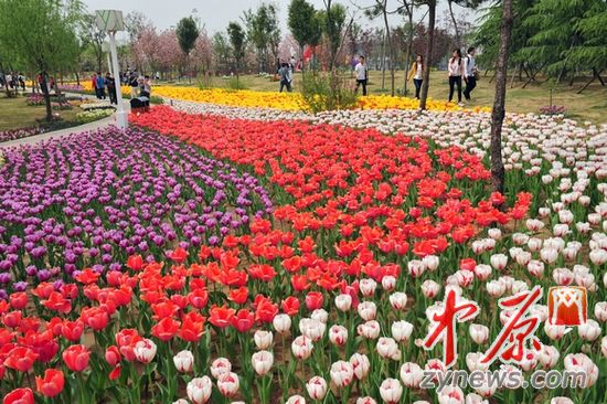 郑州绿博园晋升国家4A级景区 暂无门票涨价计