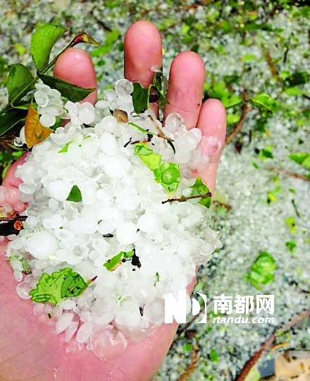 强对流季节来临 广东多地降冰雹