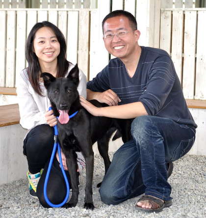 助流浪狗找新家 台湾爱狗女士演绎 狗狗版孟母