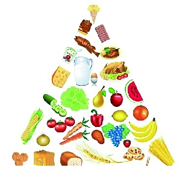 负卡路里食物 真能越吃越瘦?