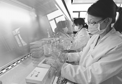 武汉试验新药可杀灭10种癌细胞