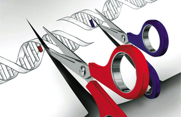 艾滋病有望治愈