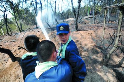 居民点火烧荒辟菜地 火苗蹿四米高烧死千棵树