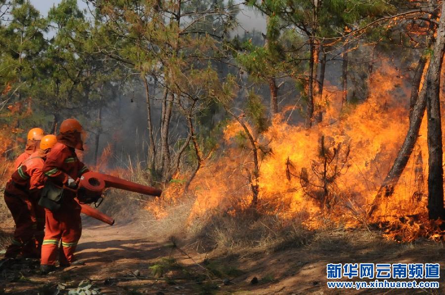 森林火灾扑救图片
