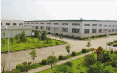 小龙王:做世界闻名的食品公司