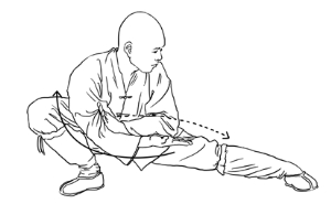 小罗汉拳·左右仆步切掌_资讯频道_凤凰网