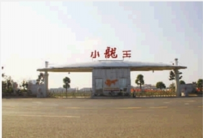 小龙王:做世界闻名的食品公司