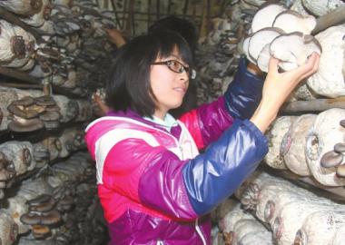不当高薪白领 <em>女大学生</em>深山采蘑菇_资讯频道_