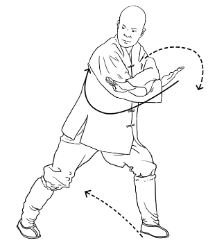 小罗汉拳·左右仆步切掌