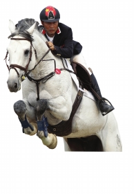 身骑白马走三关,光有钱是不够的_资讯频道_凤