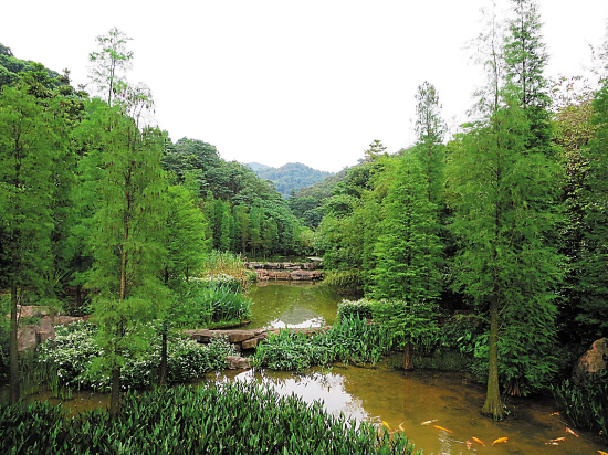 白云新城“前地王”的“瑜亮”之争_资讯频道_凤凰网