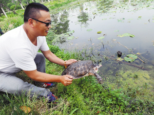 市民买下10斤大甲鱼放生