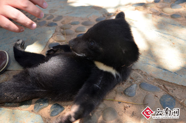 狒狒动物园第一季 a5195dafd256cb56e8b2799fd4bfa004.jpg