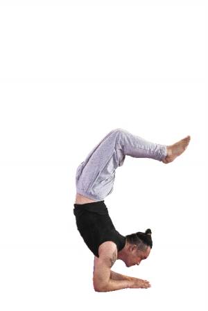 男士瑜伽 修身又养性_资讯频道_凤凰网