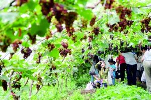 运河新驿站 自驾游武清