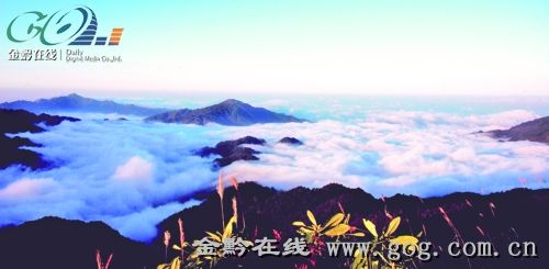 吴兴区2020GDP_吴兴区区划图(3)