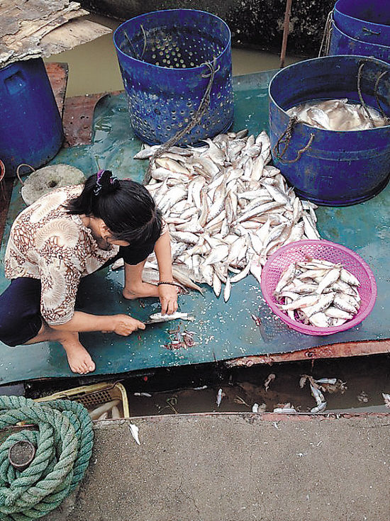 南昌熊美平浪琴湾老总