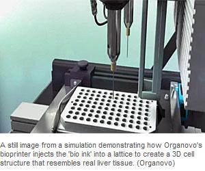 美国打印出3D人类肝细胞 理论上可在人体内运作
