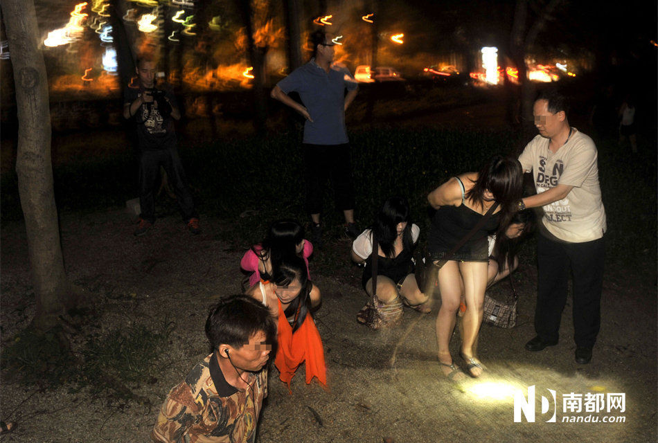 广东佛山:站街女绿化带草丛中就地做生意