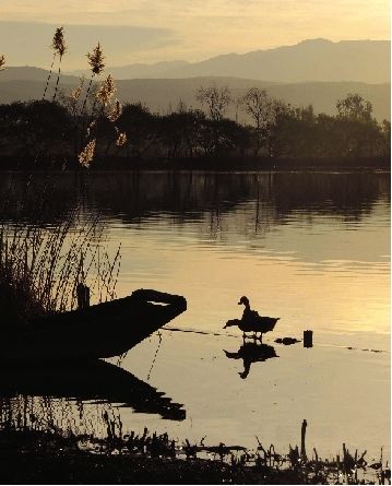 洱海西湖,景美人更美