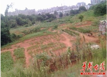湘潭东方名苑土地闲置8年 政府提议建学校遭拒