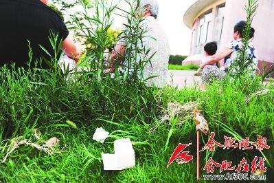 乱扔垃圾 打住打住