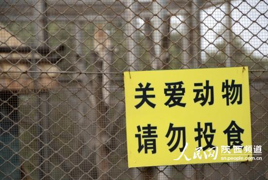 西安动物园加固鳄鱼网 游客曾喂羊肉串"吃死"黑叶猴