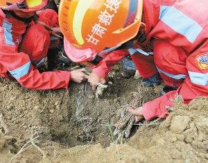 武警赤手刨出中药材