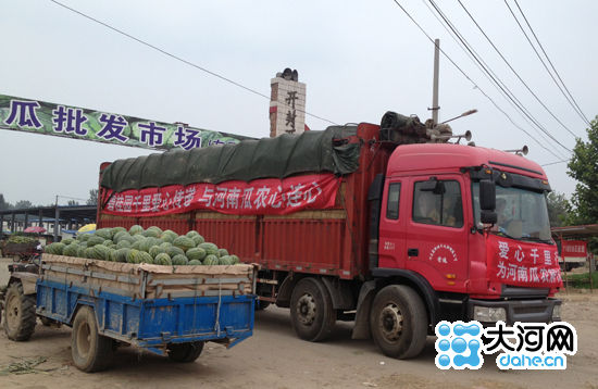 50吨开封西瓜今日发往广东 碧桂园在韶关义卖