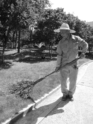 应聘当上保洁员,六旬老漂成红人