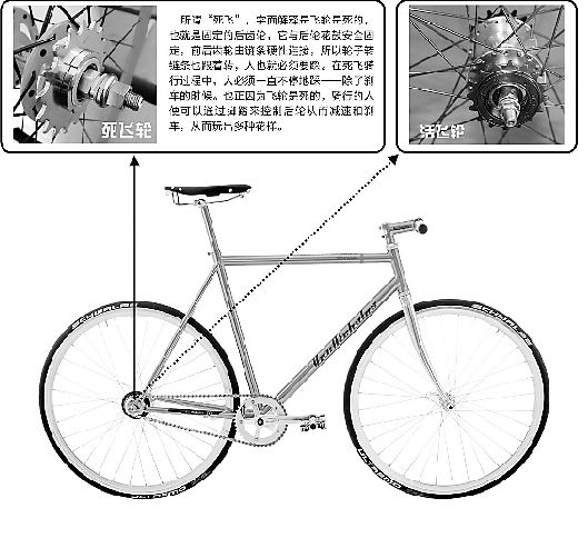 死飞什么意思