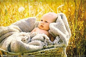 准妈妈补充维生素有学问_资讯频道_凤凰网