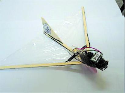 小知了“变身”微型飞行器_资讯频道_凤凰网