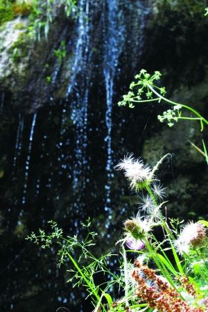 泉城和政:百眼清泉成因的地理探源
