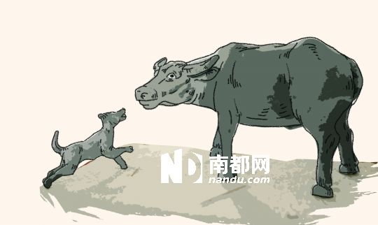 年年乞与人间巧 不道人间巧已多