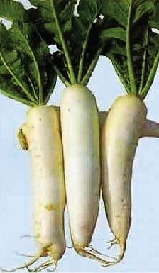 ӣӣ