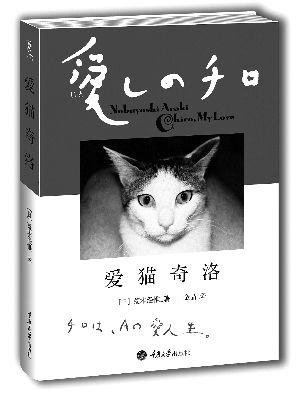 作者未知的小说有哪些 8223184d5735f3dbb4ec606c1d9e733a.jpg