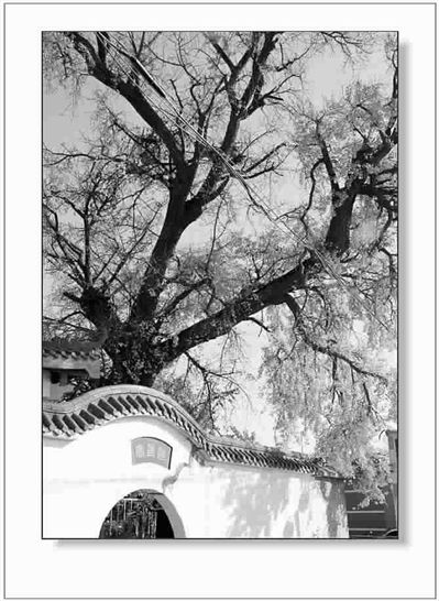 一吸琼浆知<em>水蜜</em>_资讯频道_凤凰网