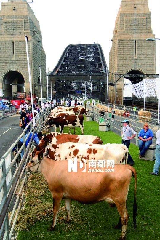 深圳美食节,你配得上深圳吗?
