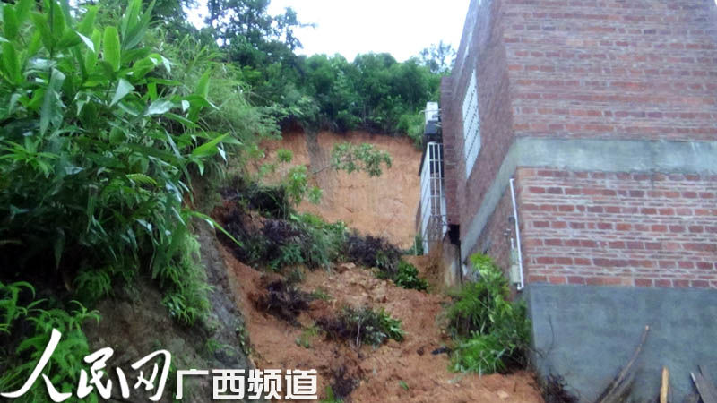 狮寨人口_人口普查(3)