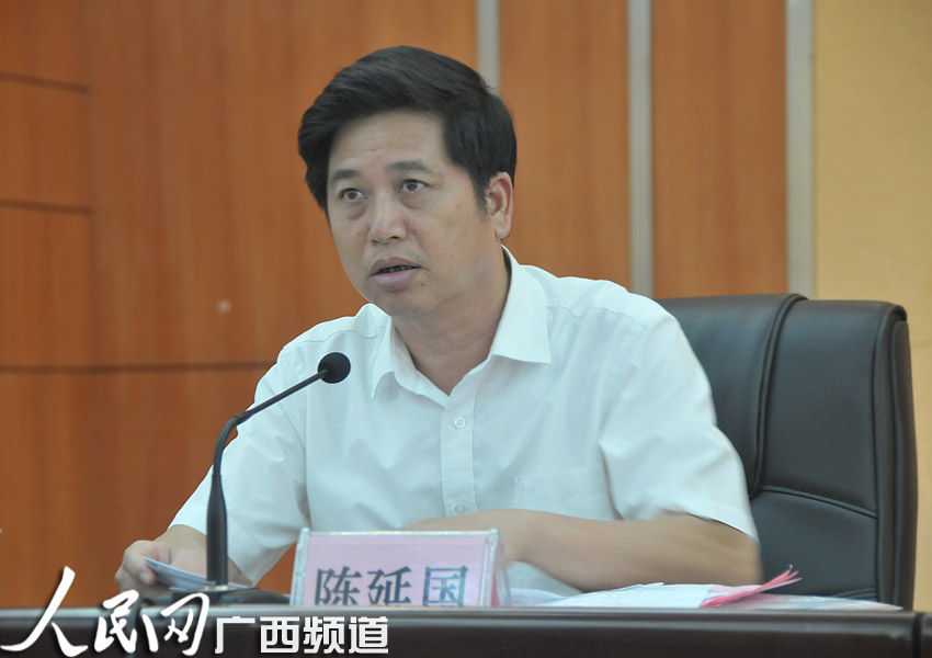 广西壮族自治区党委政法委副书记,综治办主任陈延国发表讲话