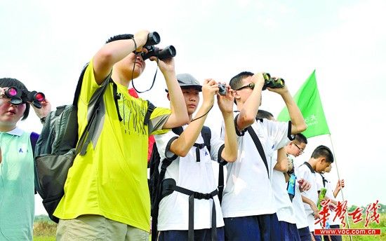百日行动护驾候鸟南飞 非法捕鸟或面临刑拘