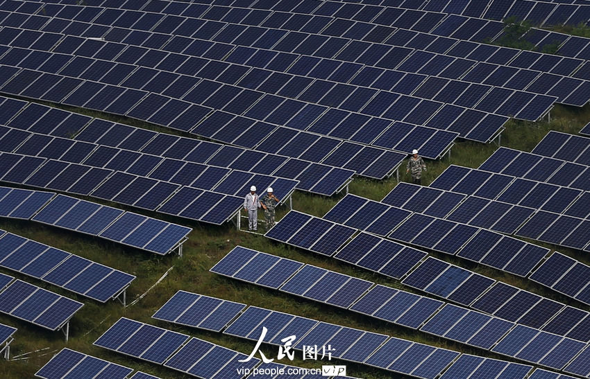 江苏首个地面光伏发电项目并网发电 占地850亩